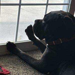 Meet your Posher, Karina